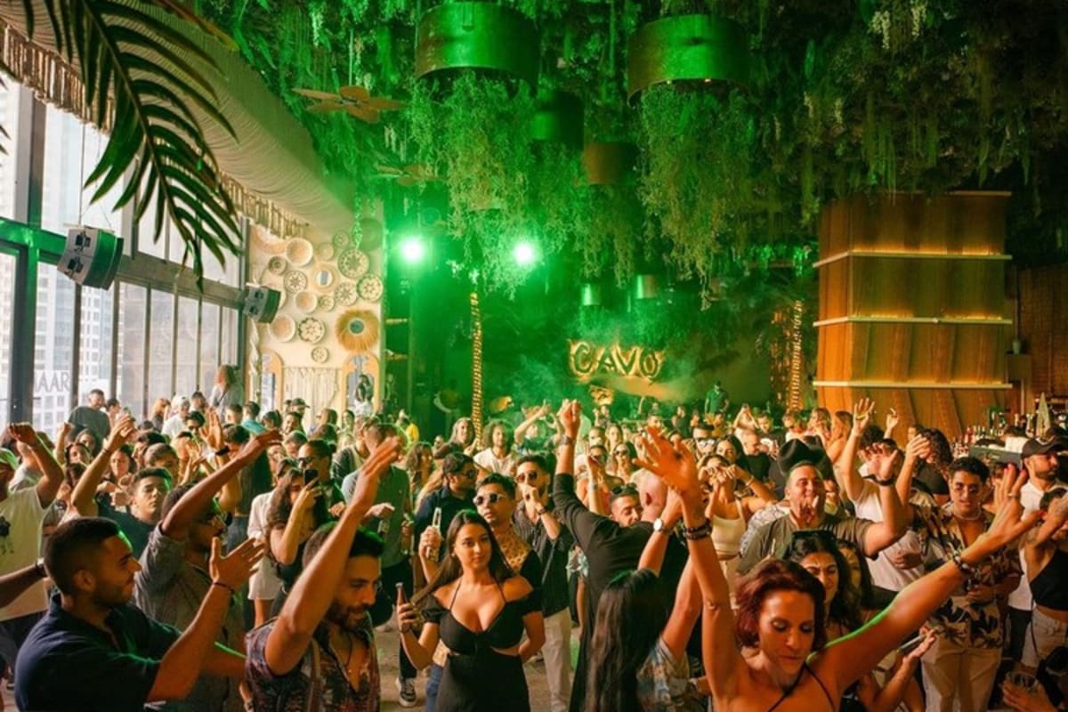 Cavo