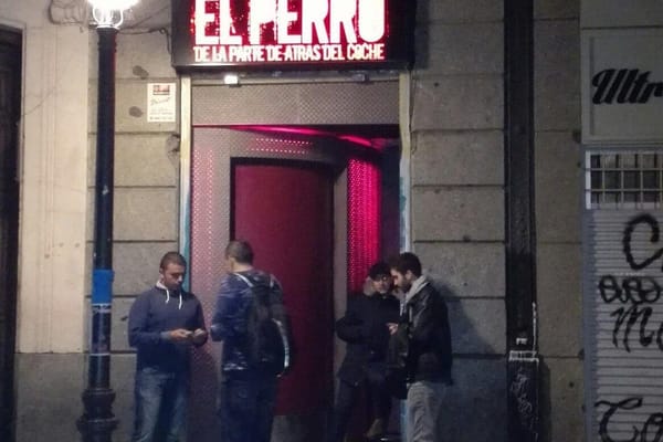El Perro de la Parte de Atrás del Coche