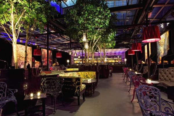 Provocateur New York