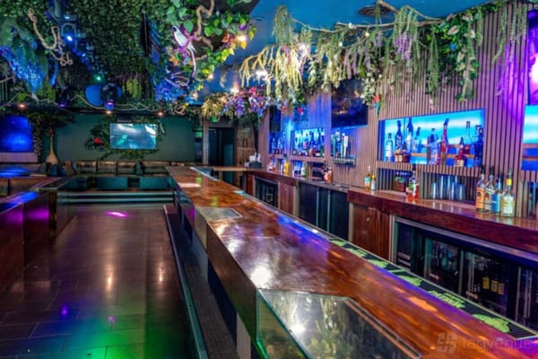Jungle Hollywood