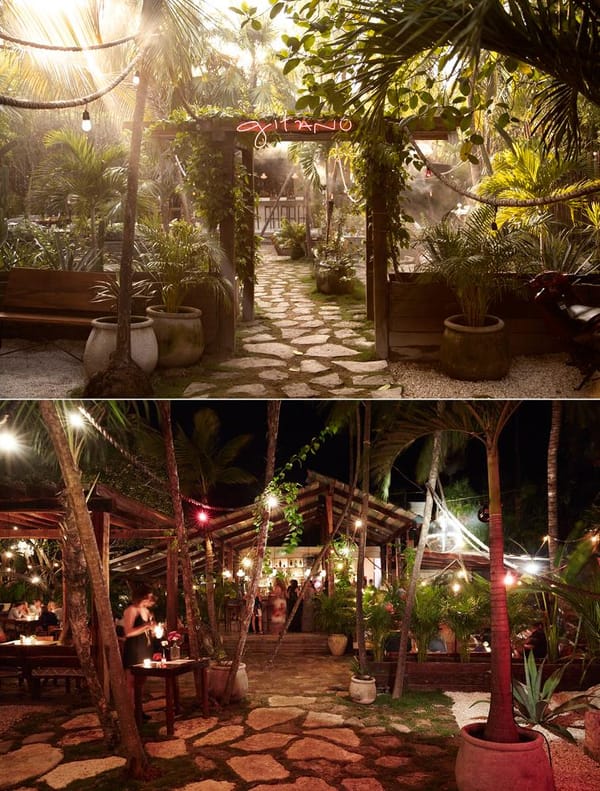 Jungle Party